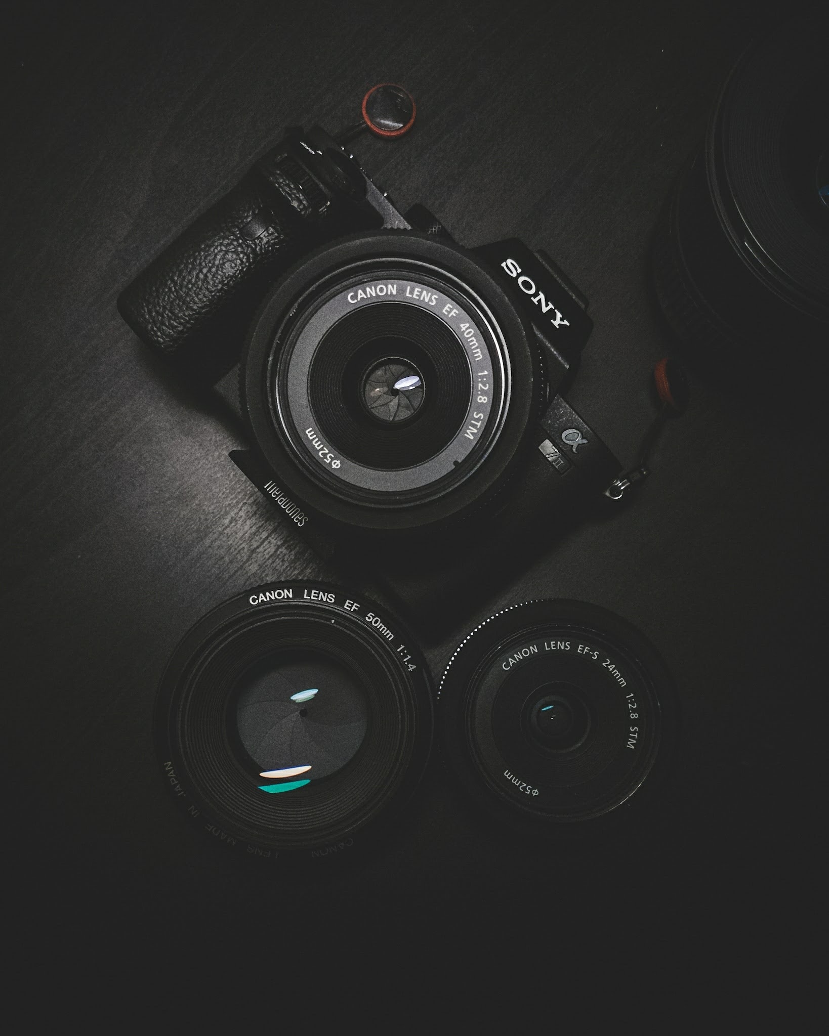conor-luddy-IVaKksEZmZA-unsplash
